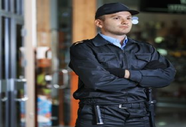 Security services in Canoga Park